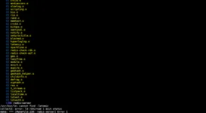 二进制编译安装/usr/bin/ld: cannot find -latomic报错排查思路