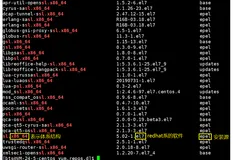 【Linux】Linux环境基础开发工具使用 —— yum | vim | gcc & g++ | gdb | make & makefile | 进度条 | git