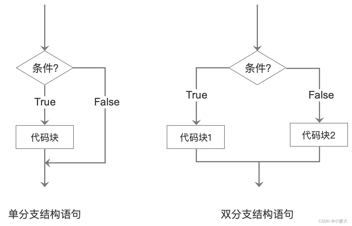 分支结构