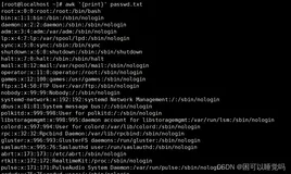 awk编辑器（一）