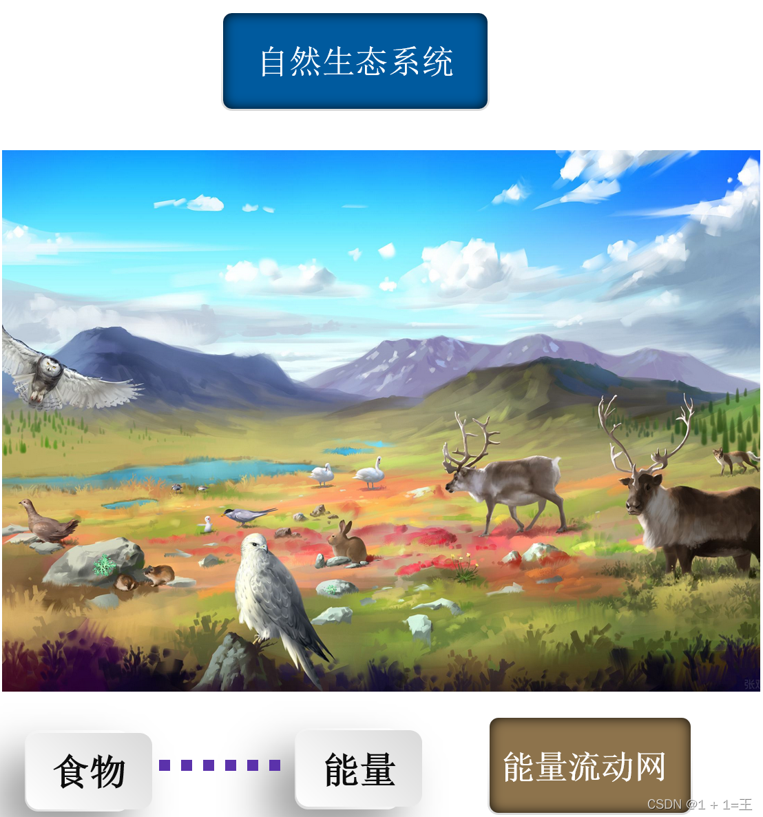 在这里插入图片描述 在这里插入图片描述