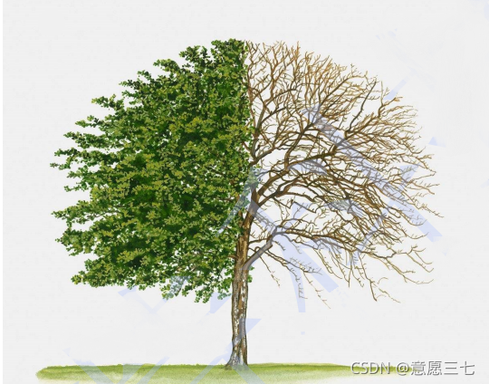 在这里插入图片描述 在这里插入图片描述