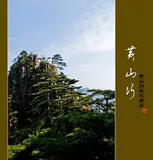 黄山归来不看岳：《Java开发手册（黄山版）》新增 11 条规约