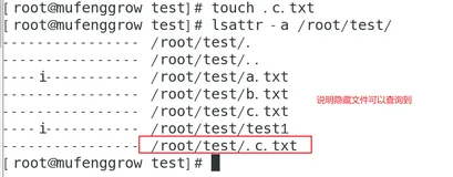 linux基本功系列之-lsattr命令实战