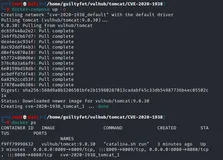 CVE-2020-1938 Aapache Tomcat AJP 文件包含漏洞