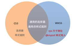 【微信小程序】WXSS 模板样式