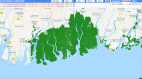 基于ALOS PALSAR 和 Landsat（光学）数据 2010 年全球红树林基线图数据集（gee和官网都可以下载）