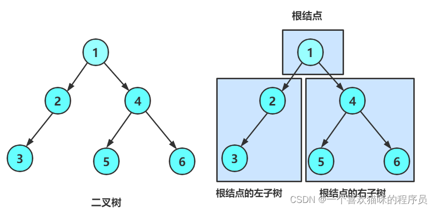 【数据结构】树以及二叉树的概念（二）
