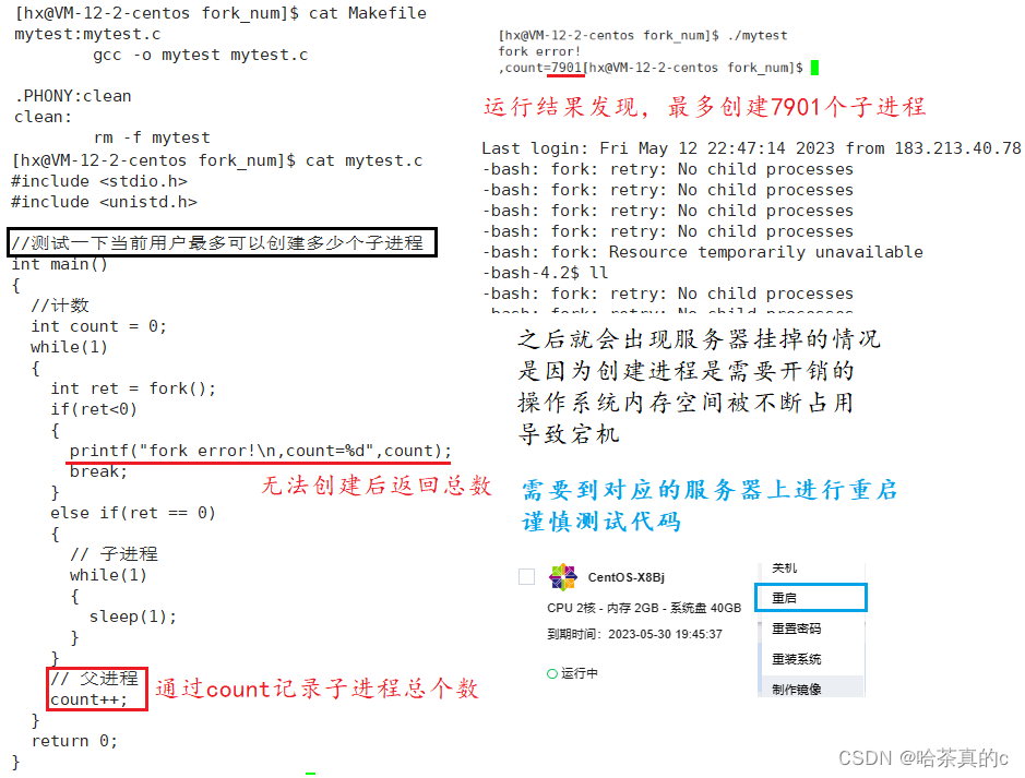 【Linux】11. 进程控制
