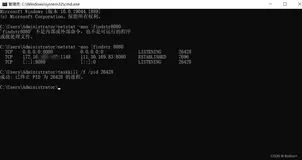 查看占用端口的进程，并结束进程