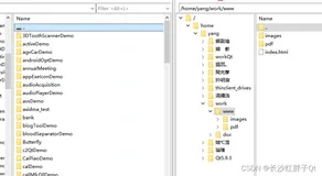 关于 SecureFx传输远程服务器中文显示乱码 的解决方法