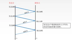 3.2计算机网络（停止-等待协议 后退N帧协议 选择重传协议）