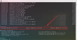 【阿里云镜像】使用阿里巴巴开源镜像站镜像——Kubernetes 镜像
