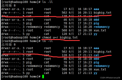 linux中的chmod改变权限、修改bigbig.txt文件使其所属主用户只有读权限、修改bigbig.txt文件使其所属组用户具有写权限linux中的文件权限类、rwx 作用文件和目录的不同解释