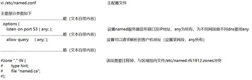 Linux系统配置（DNS服务）