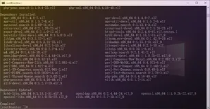 【阿里云镜像】基于YUM方式构建Zabbix监控平台