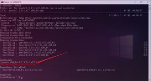 【阿里云镜像】配置Pouch镜像