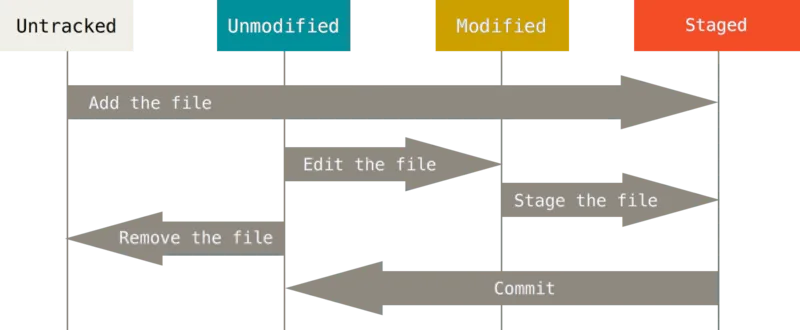 Life Cycle