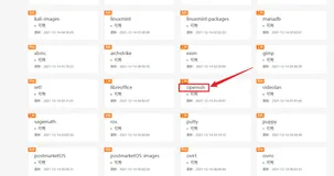 【阿里云镜像】使用阿里云openssh镜像安装配置SSH服务