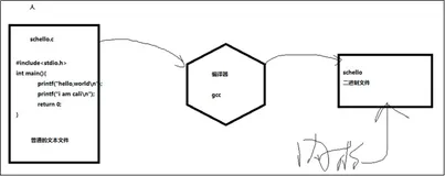 04_Linux基础-.&..-cat-tac-重定向-EOF-Shell-more-ps-less-head-tail-sed-grep-which-whereis-PATH-bash-usr-locate-find