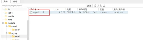 初识Canal以及使用Docker安装配置