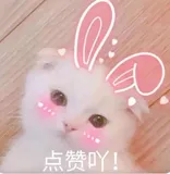 RH358访问基于块的网络存储--提供iSCSI存储