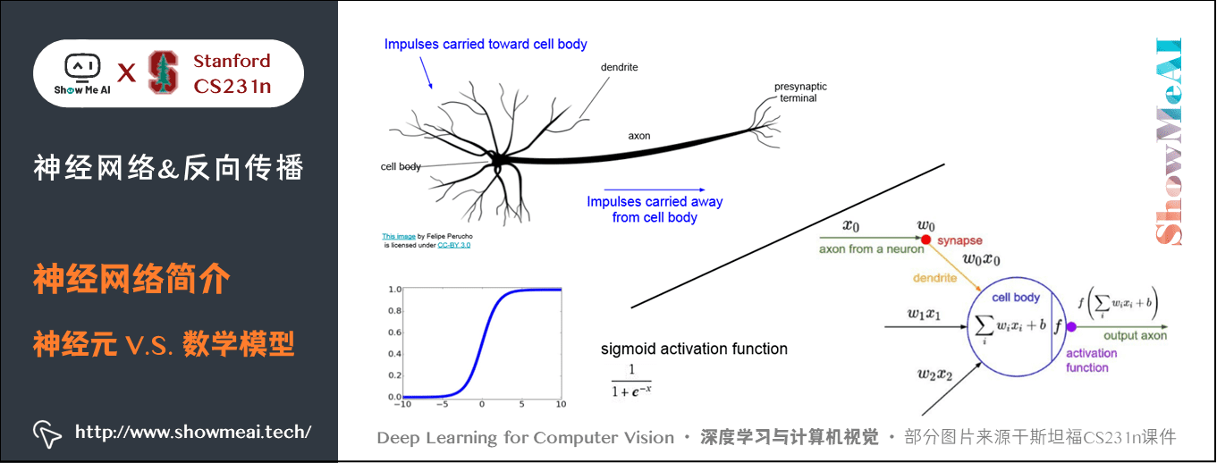 神经网络简介; 神经元 V.S. 数学模型