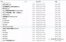 CAD - CAD 的 *.dwl 是什么文件？可以打开吗？