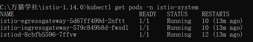 kubectl get pods -n istio-system