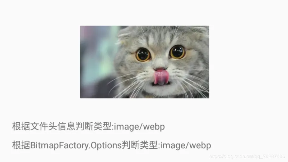 webp