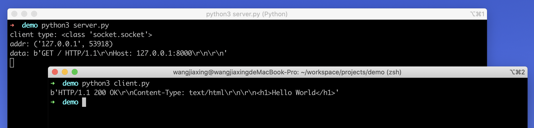 用 Python 实现一个简易版 HTTP 客户端