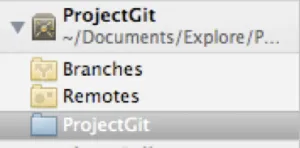 git_xcode_21