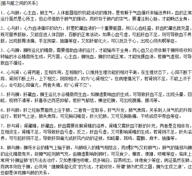 人体五脏六腑位置图详细介绍