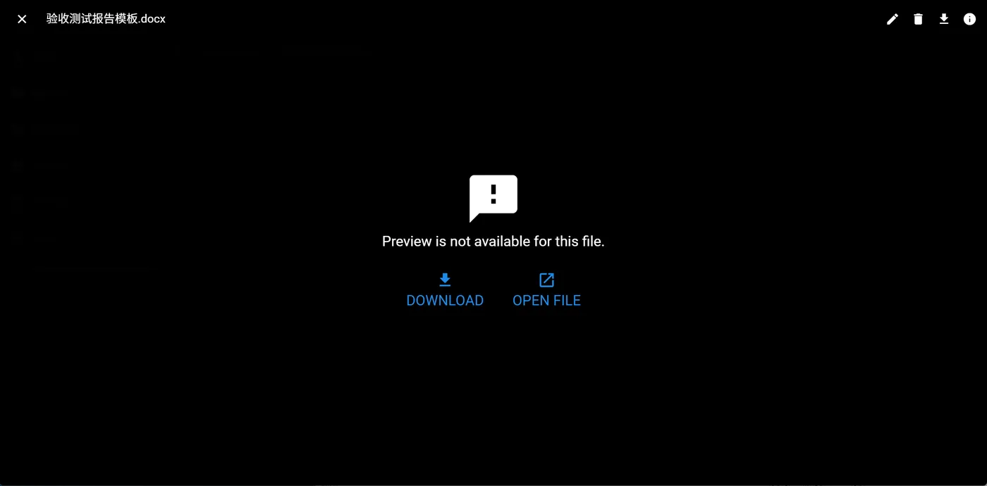File Browser 文件预览：docx 不支持内嵌预览，提供下载与打开选项