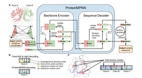 基于昇腾适配蛋白质序列模型ProteinMPNN