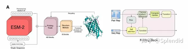 基于昇腾适配Meta AI在Science正刊发表的蛋白质结构预测模型ESMFold