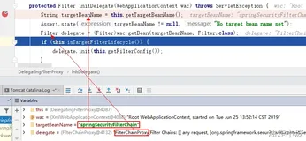 DelegatingFilterProxy 