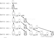 读《趣学算法》：重开算法之门，神奇的兔子数列（斐波那契数列）