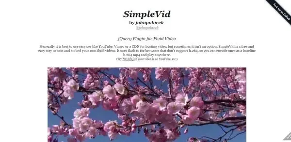 SimpleVid