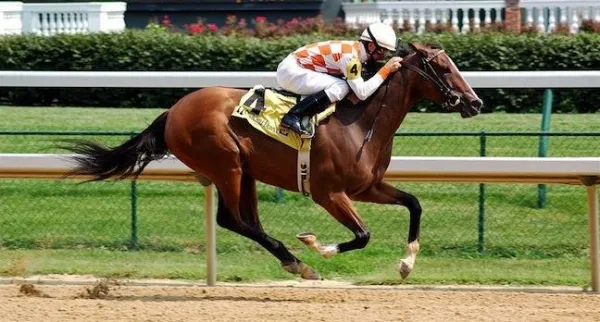 超融合市场竞争白热化 新手陆续入场