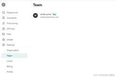 Openai的API相关全部概论汇总（通用版）