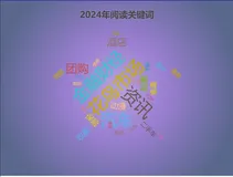 ECharts 词云案例三：2024年阅读关键词