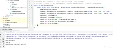 java操作内存，简单讲解varhandle的使用