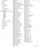 代码拉取与运行
