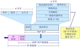 【计算机网络】网络层（控制平面）