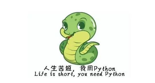 十五道Python小案例，学会这些，Python基础已过关！