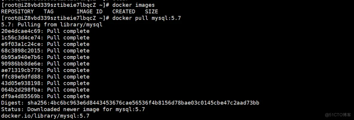 Docker安装MySQL_mysql_02