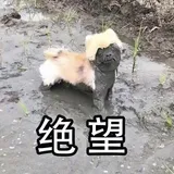 谈谈代码：如何避免写出糟糕if...else语句