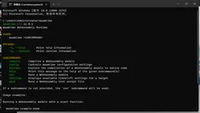 c#如何使用WASM跨语言调用？