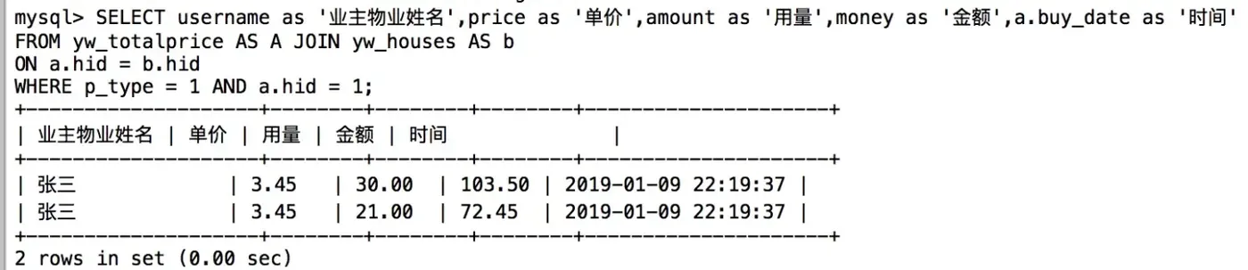 查询某业主的电费